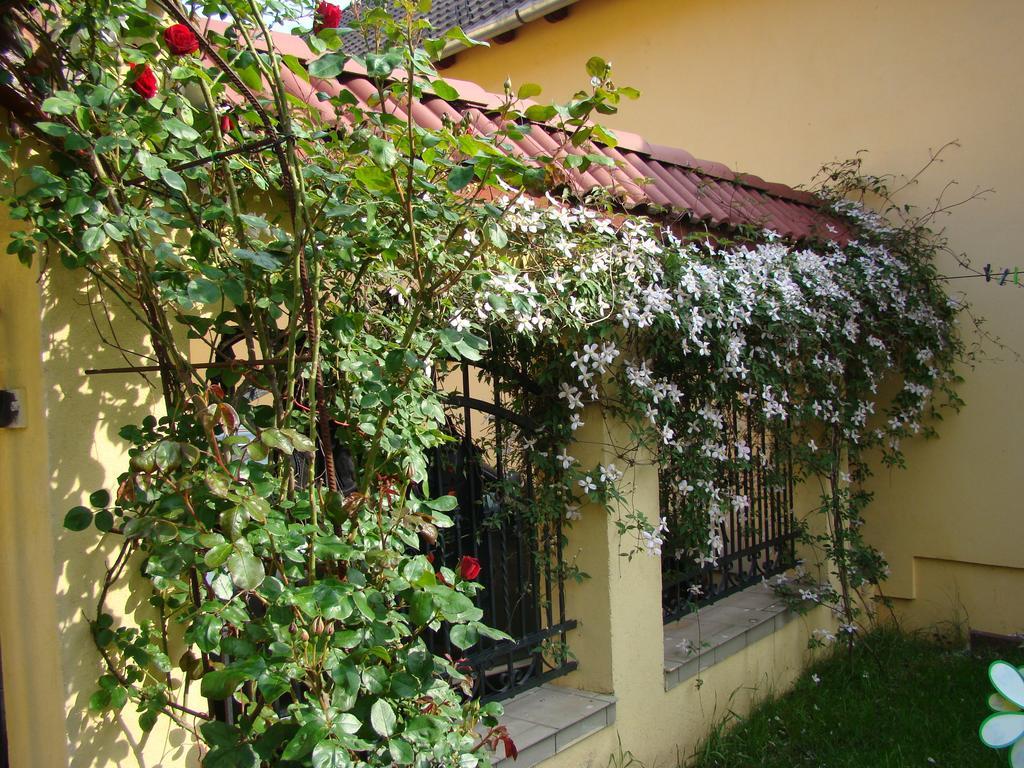 Pensiunea Magnolia Sybin Zewnętrze zdjęcie
