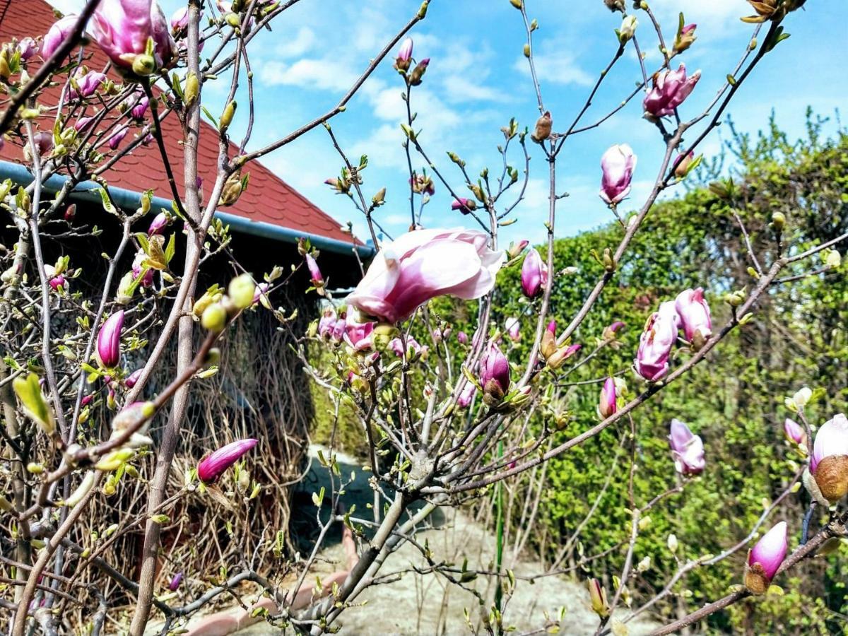 Pensiunea Magnolia Sybin Zewnętrze zdjęcie